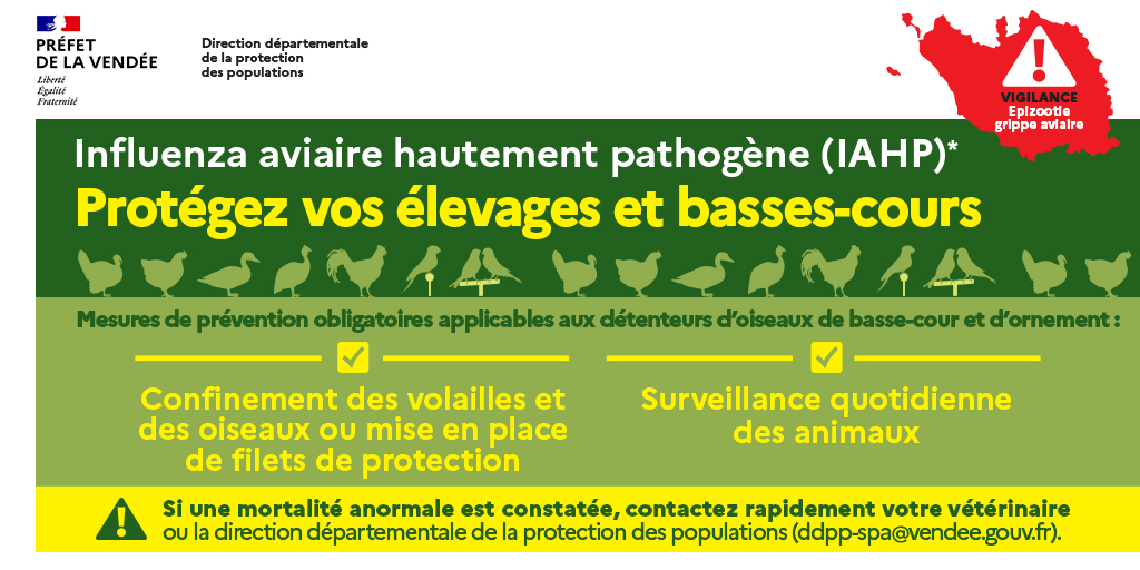 Grippe aviaire  : passage du niveau modéré au niveau élevé